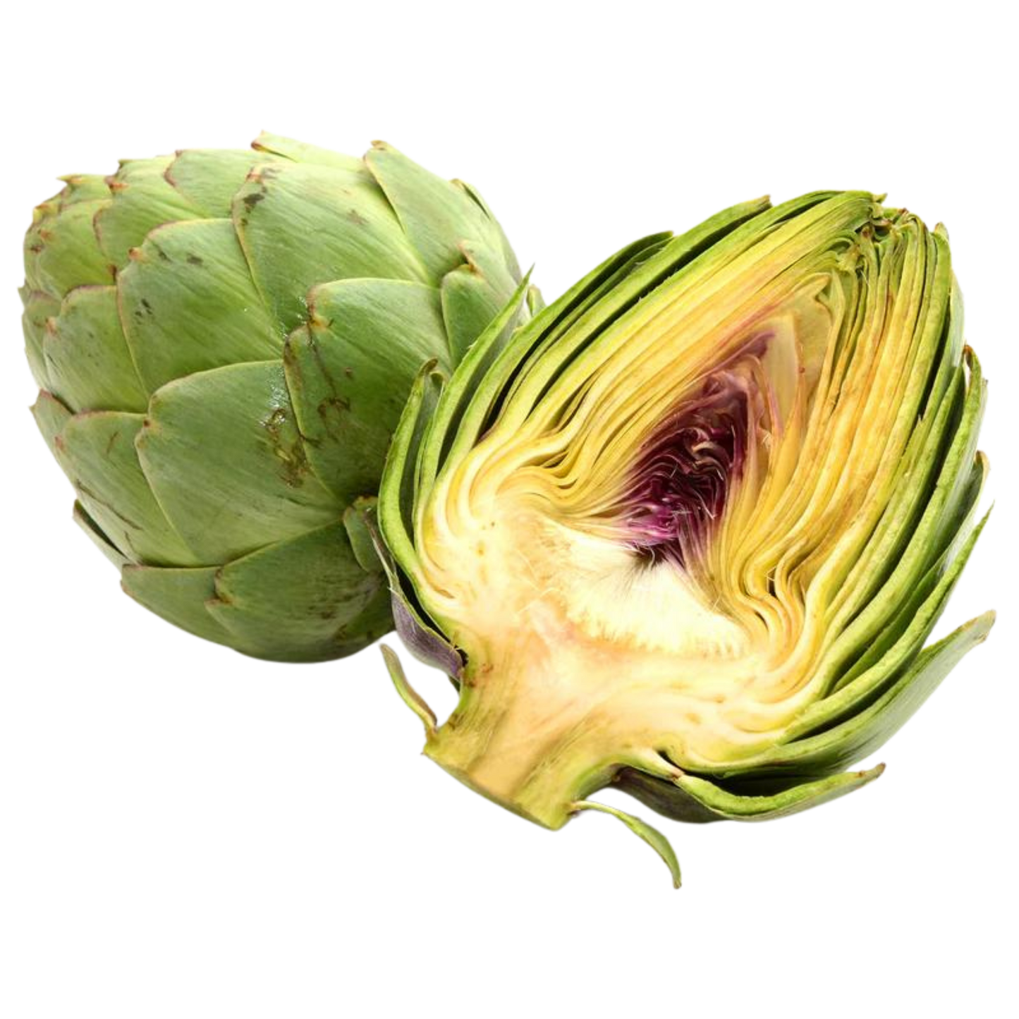 ALCACHOFA
