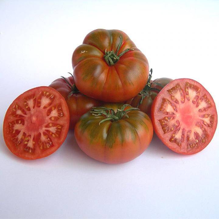 Tomate Raf