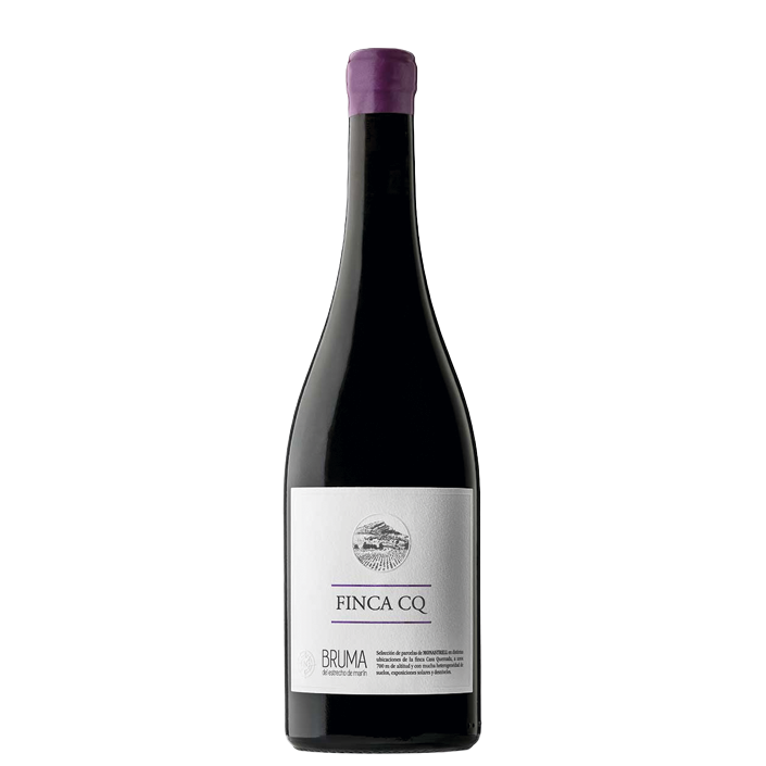Bruma del Estrecho Finca CQ