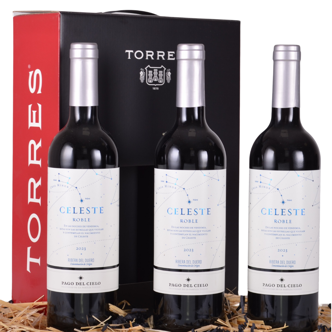 torres-joven