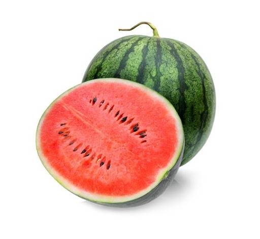 Sandia rayada