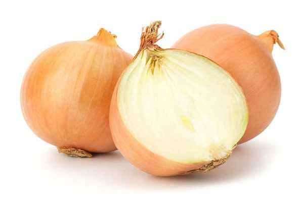 CEBOLLA