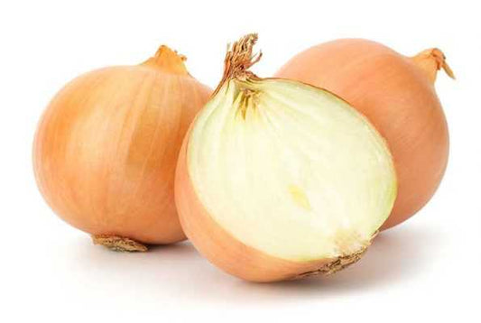CEBOLLA