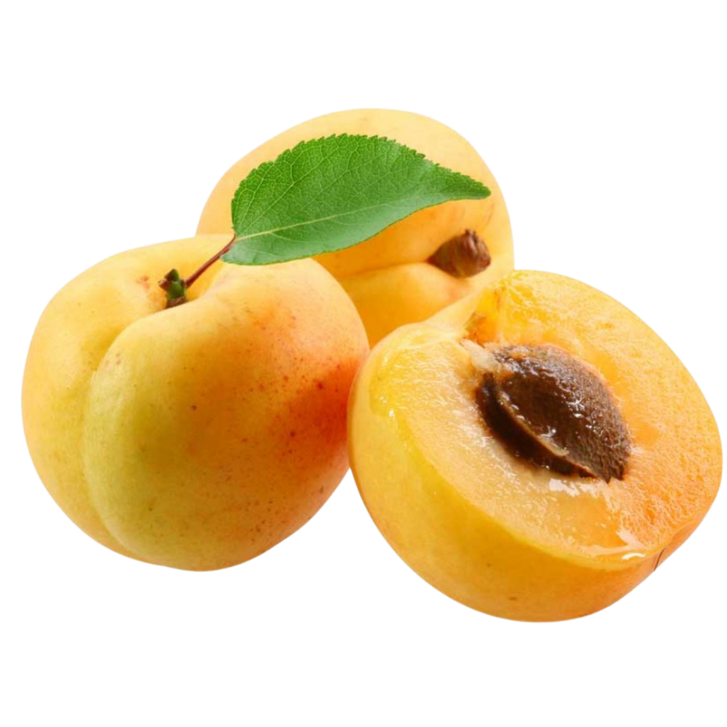 ALBARICOQUES