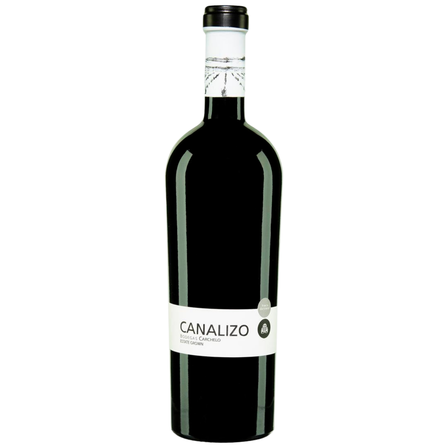 Canalizo