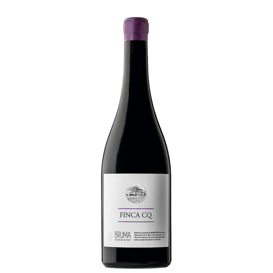 Bruma del Estrecho Finca CQ