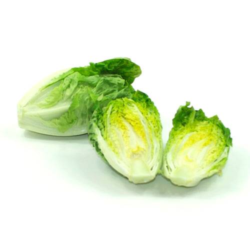 LECHUGA COGOLLOS