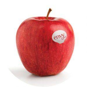 MANZANA ENVY