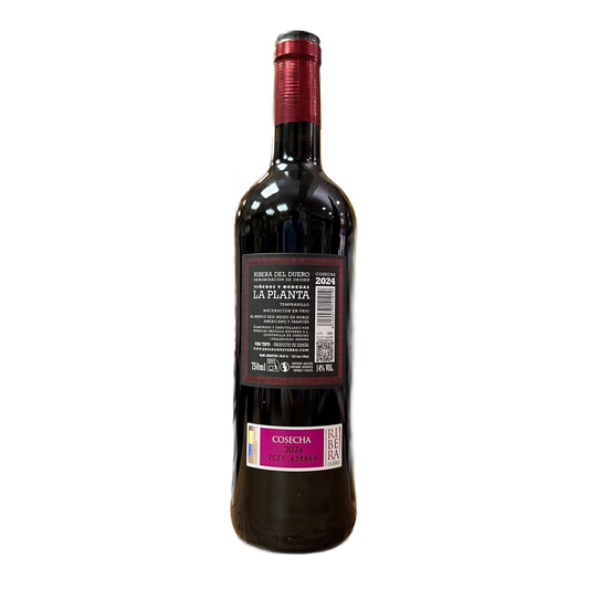 ARZUAGA - LA PLANTA COSECHA TEMPRANILLO D.O.
