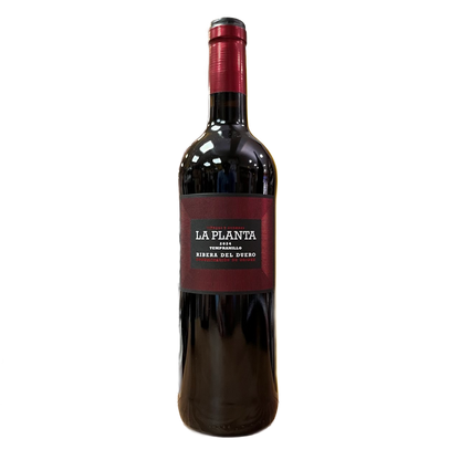 ARZUAGA - LA PLANTA COSECHA TEMPRANILLO D.O.