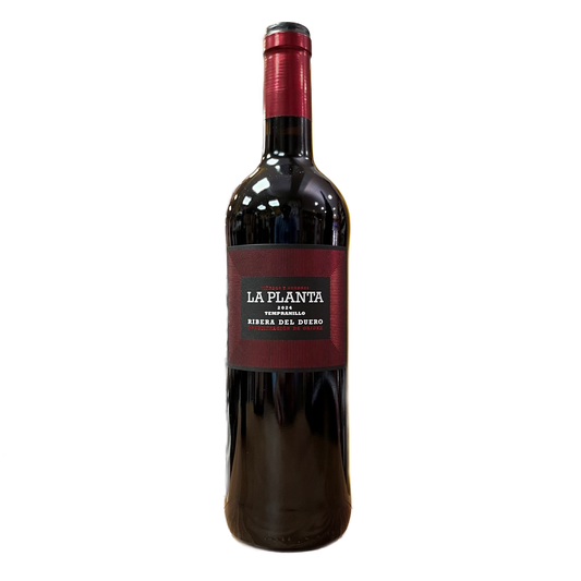 ARZUAGA - LA PLANTA COSECHA TEMPRANILLO D.O.