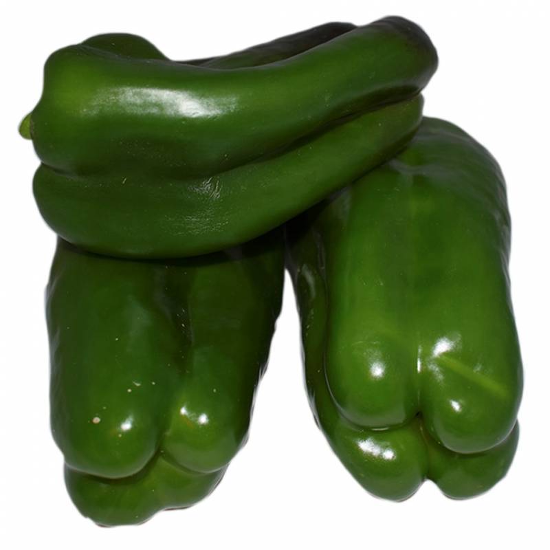 PIMIENTO VERDE